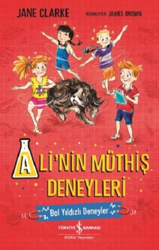 Ali'nin Müthiş Deneyleri