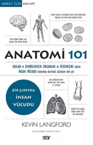 Anatomi 101 - Kaslar ve Kemiklerden Organlar ve Sistemlere kadar İnsan