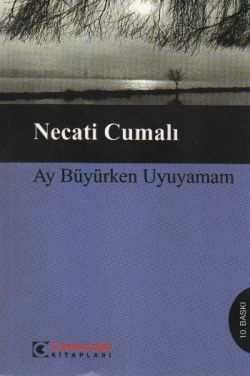 Ay Büyürken Uyuyamam