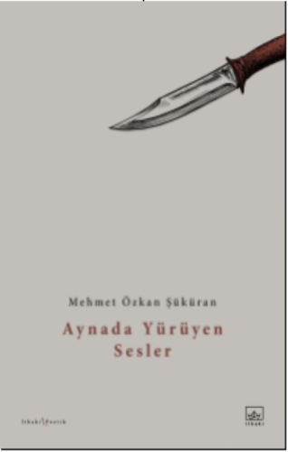 Aynada Yürüyen Sesler