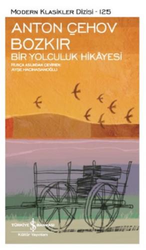 Bozkır - Bir Yolculuk Hikayesi