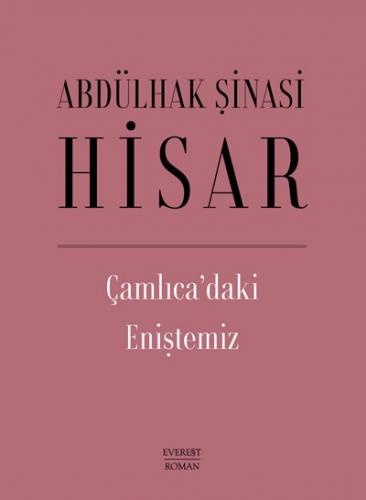 Çamlıca'daki Eniştemiz (Ciltli)