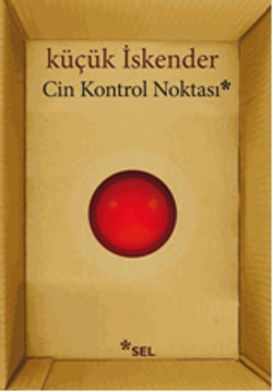 Cin Kontrol Noktası