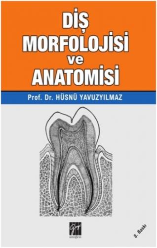 Diş Morfolojisi Ve Anatomisi