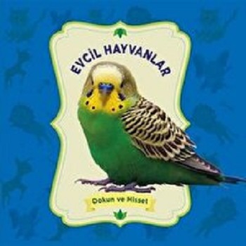 Dokun ve Hisset: Evcil Hayvanlar