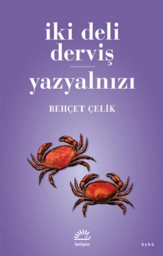 İki Deli Derviş - Yazyalnızı