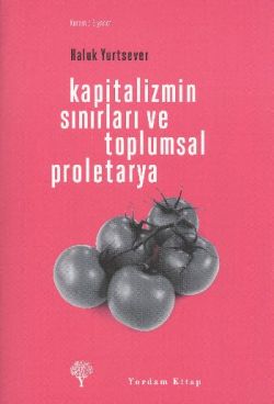 Kapitalizmin Sınırları ve Toplumsal Proletarya