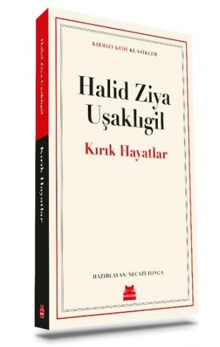 Kırık Hayatlar