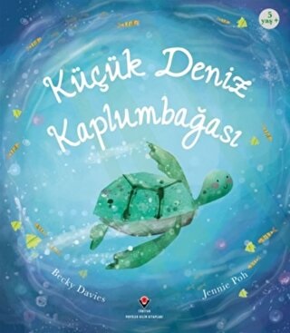 Küçük Deniz Kaplumbağası