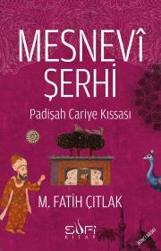 Mesnevi Şerhi