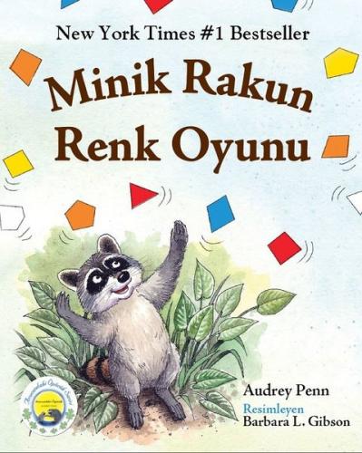 Minik Rakun Renk Oyunu