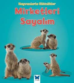 Mirketleri Sayalım