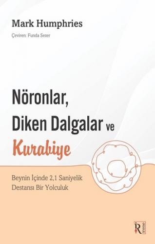 Nöronlar Diken Dalgalar Ve Kurabiye