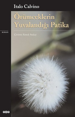 Örümceklerin Yuvalandığı Patika