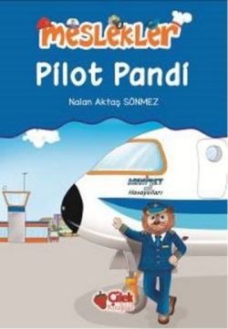 Pilot Pandi