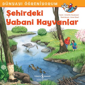 Şehirdeki Yabani Hayvanlar - Dünyayı Öğreniyorum