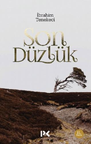 Son Düzlük