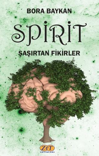 Spirit Şaşırtan Fikirler