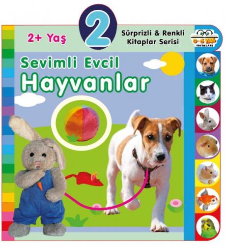 Yaş Sevimli Evcil Hayvanlar (2+Yaş)