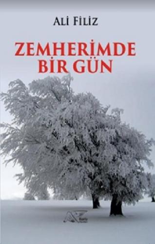 Zemherimde Bir Gün